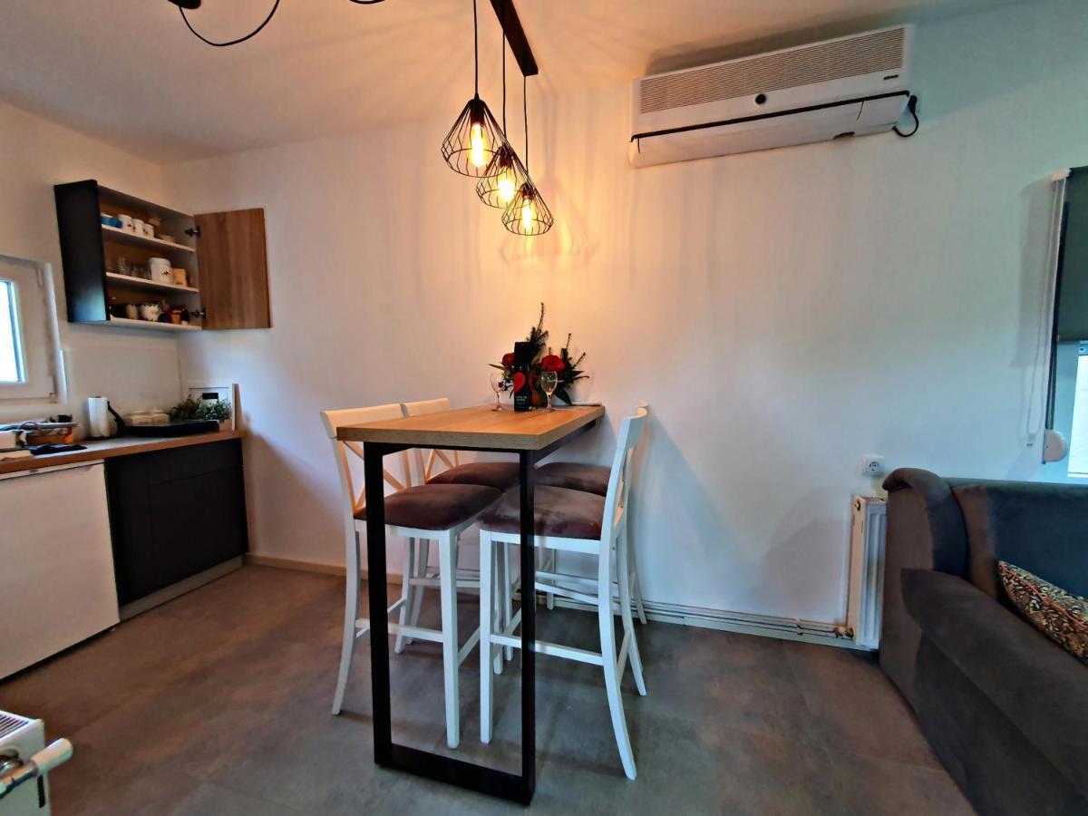 Luxor Apartmani 2 Vrnjacka Banja Luaran gambar