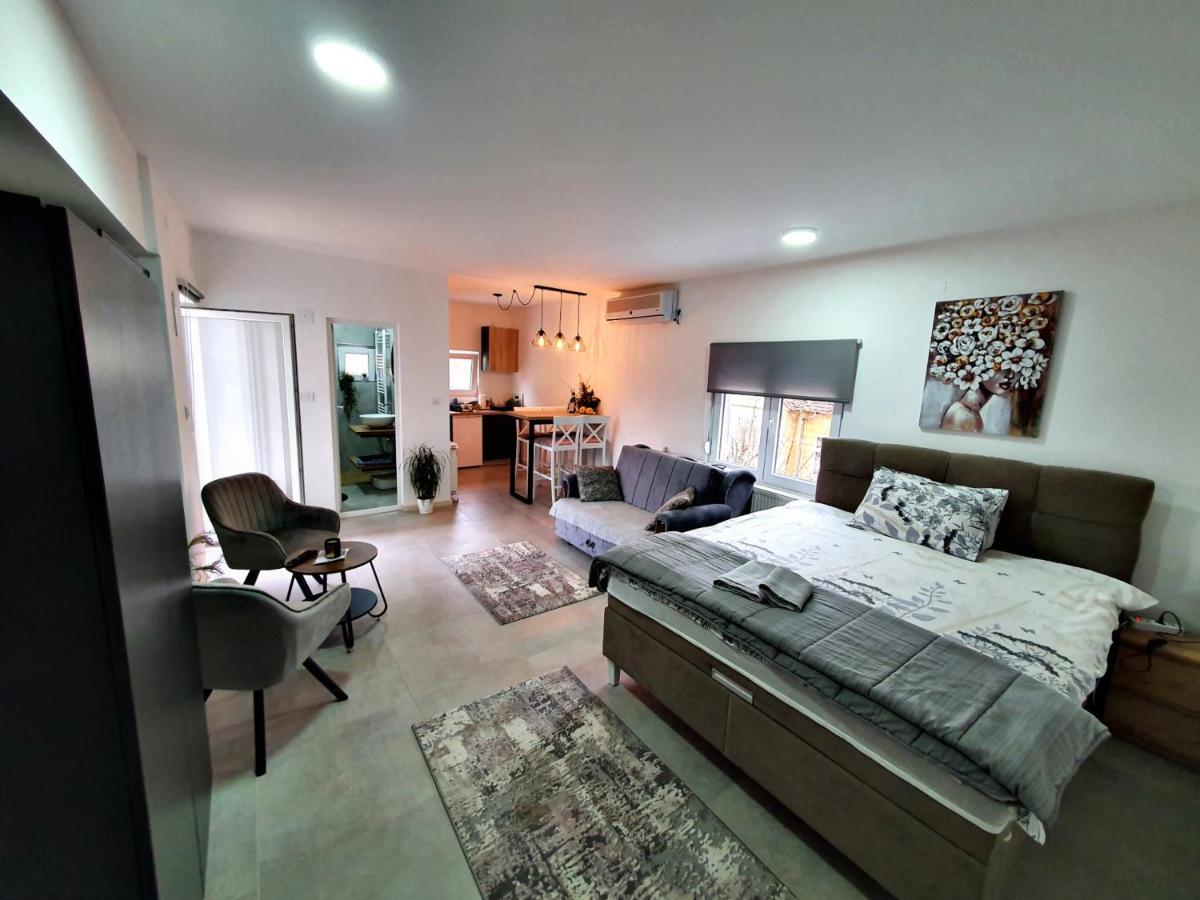 Luxor Apartmani 2 Vrnjacka Banja Luaran gambar